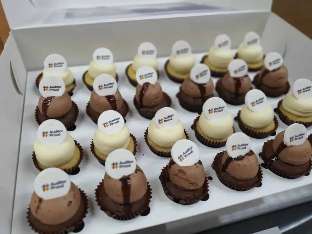 Celebrating #AuditorProud day 2019