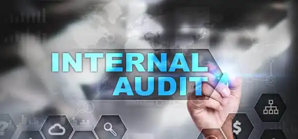 From Accountant to Internal Auditor - Opportunity of Growth