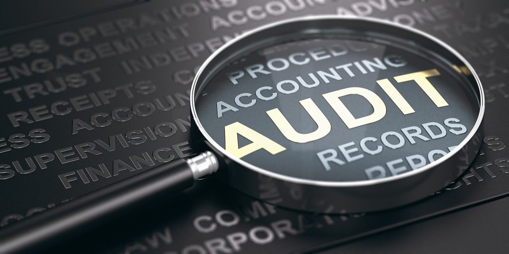 The Future of Auditing as a Profession